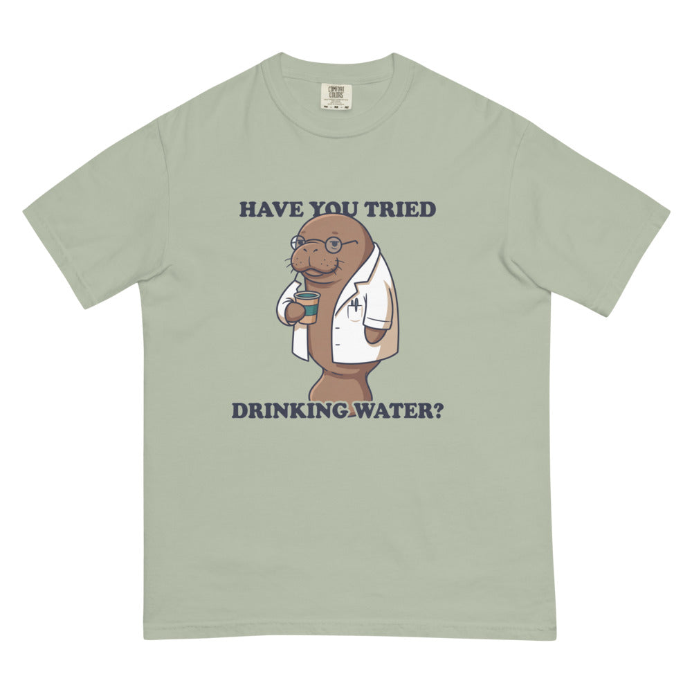 Have You Tried Drinking Water? tee in Bay, flat lay