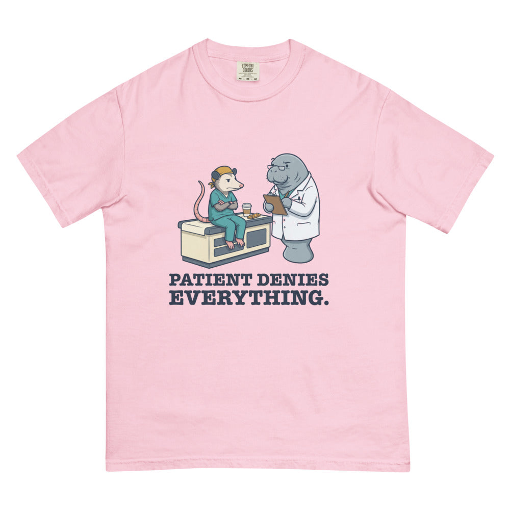 Patient Denies Everything. tee in Blossom, flat lay