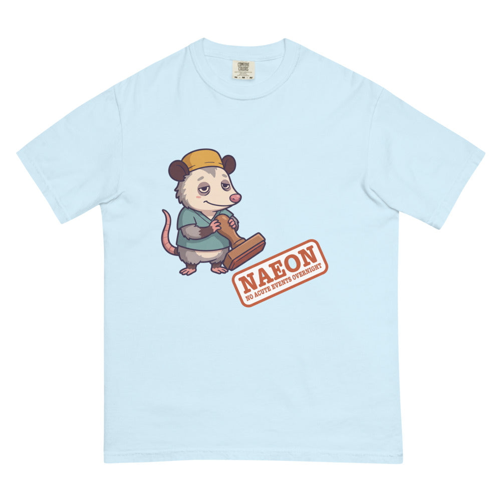 NAEON tee in Chambray, flat lay
