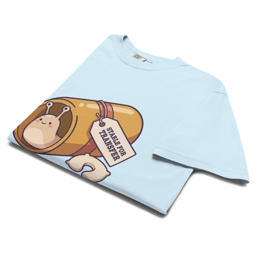 Stable for Transfer tee in Chambray, folded