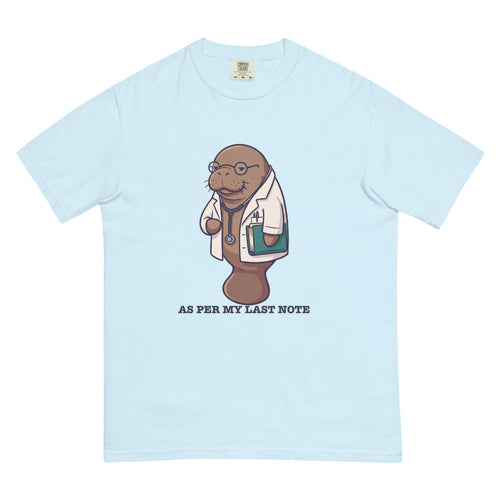 As Per My Last Note tee in Chambray, flat lay
