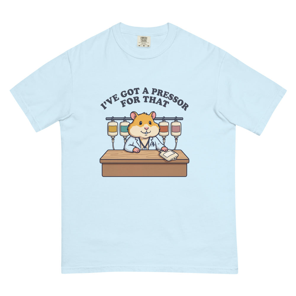 I've Got a Pressor for That tee in Chambray, flat lay