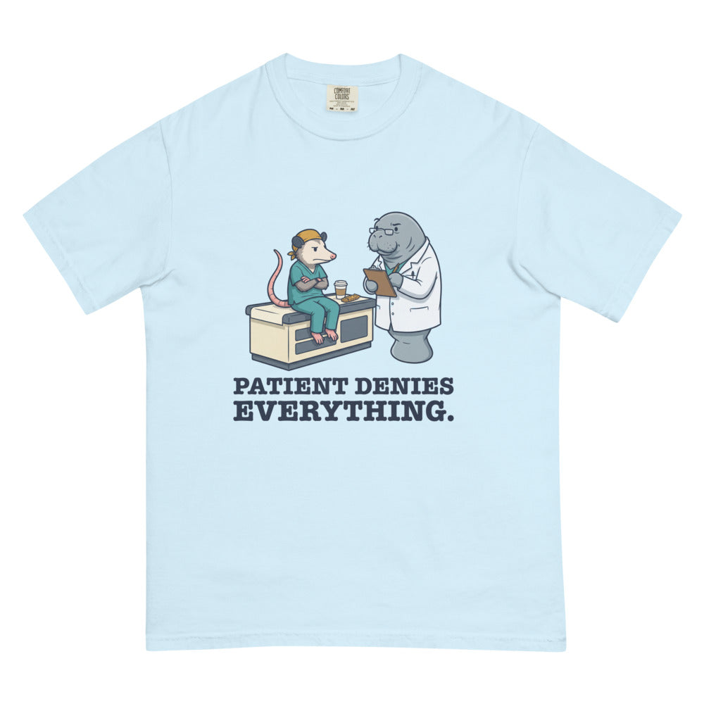 Patient Denies Everything. tee in Chambray, flat lay