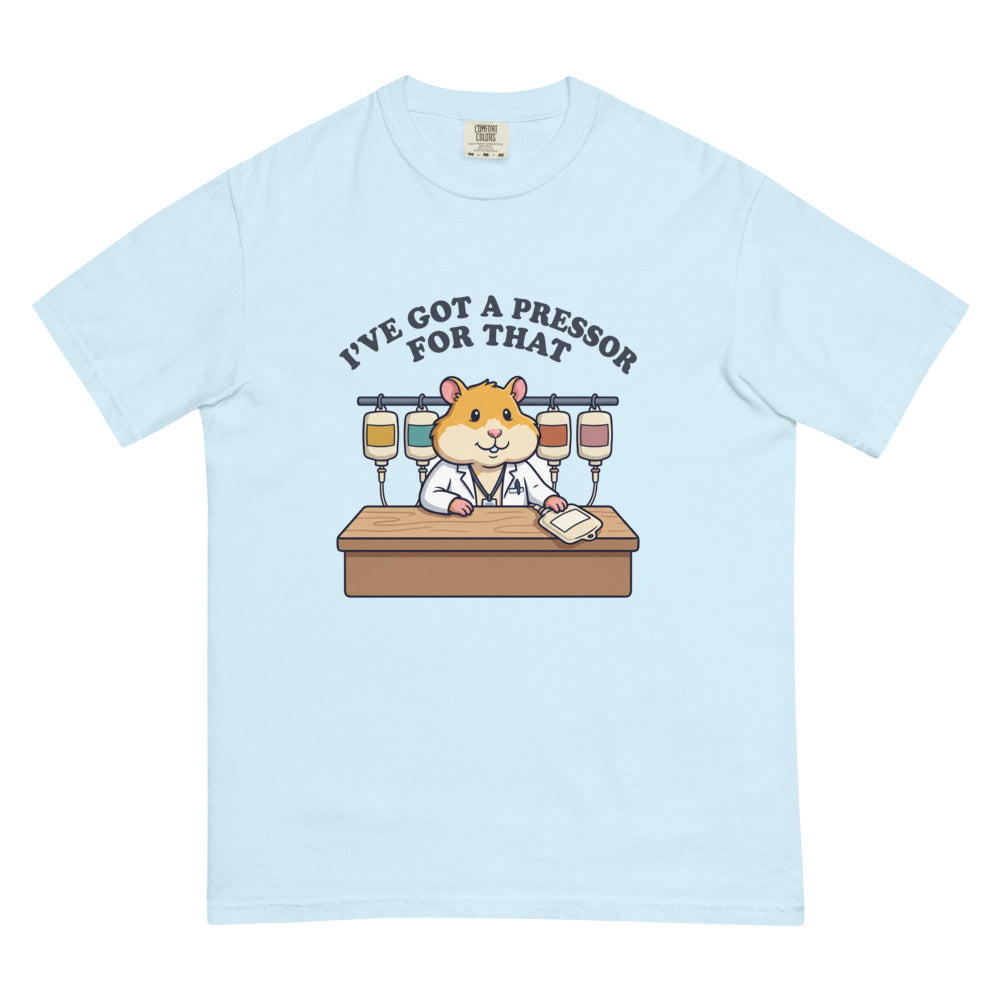 I've Got a Pressor for That tee in Chambray, flat lay