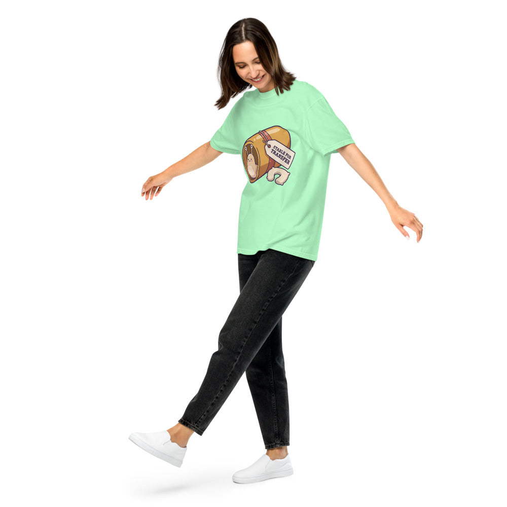 Stable for Transfer tee in Island Reef, on a woman